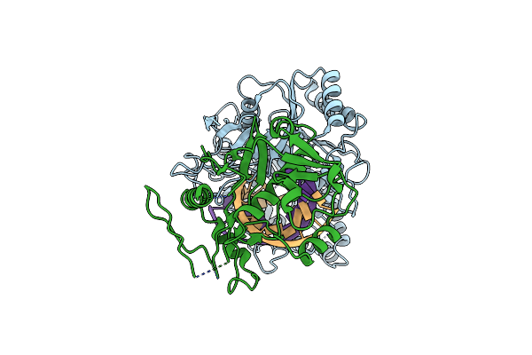 9JSP image