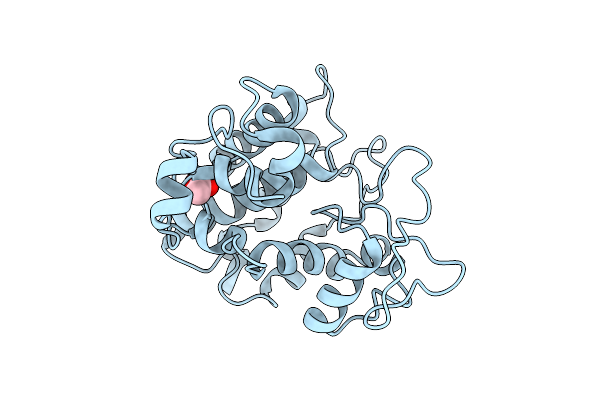 9JTP image