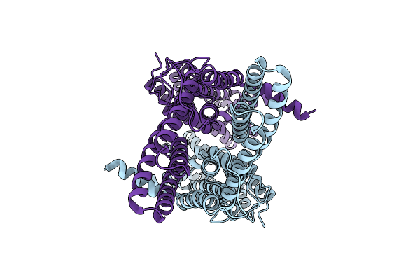 9JTW image