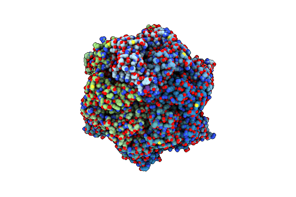 9JVP image
