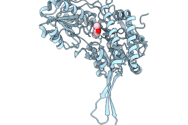 9JVS image