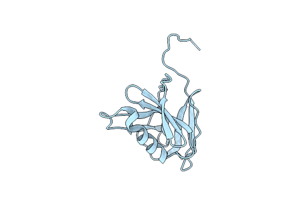 9JVU image