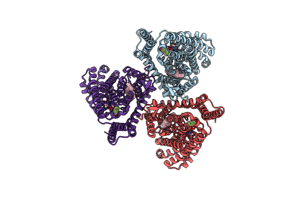 9JVW image