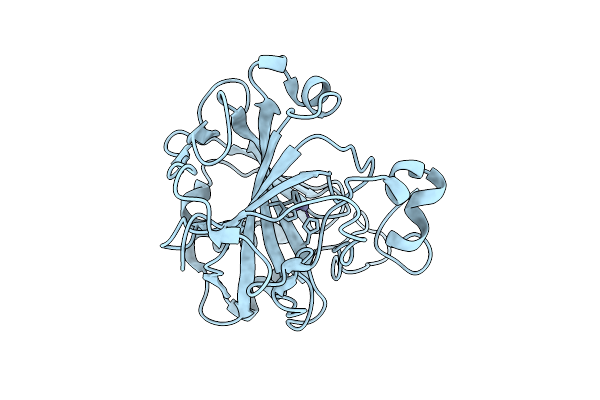 9JWE image