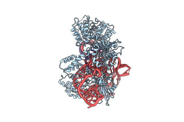 9JWK image