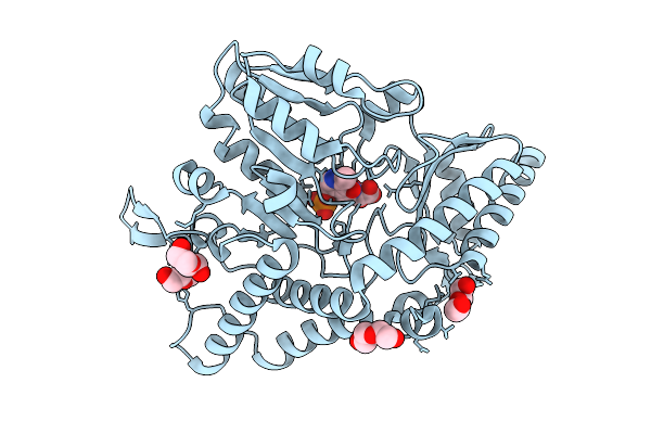 9JX7 image