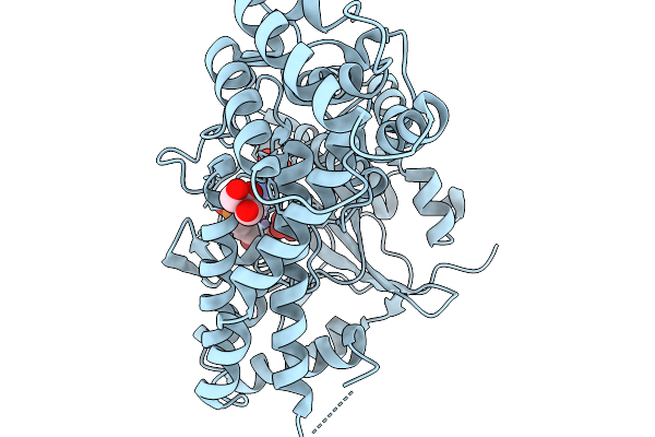 9JYM image