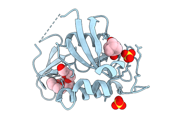 9JYT image