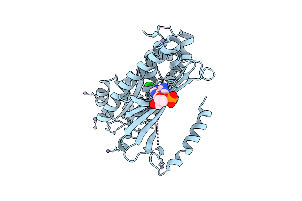 9JZZ image