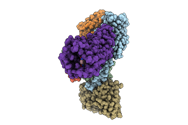 9K07 image