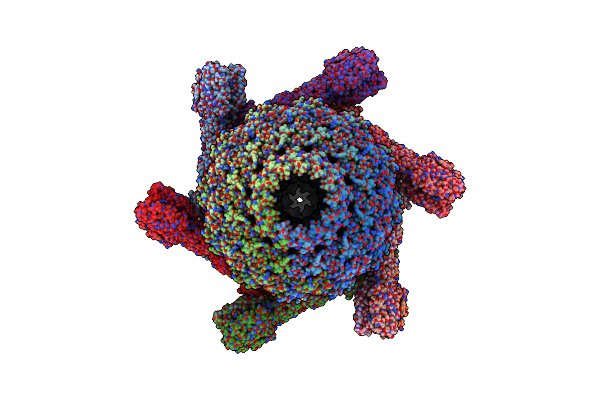 9K09 image