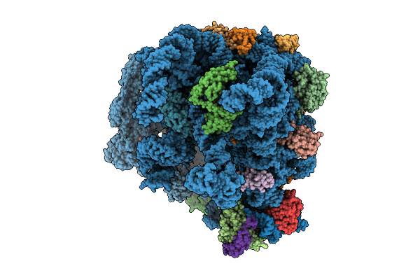 9K10 image