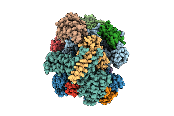 9K12 image