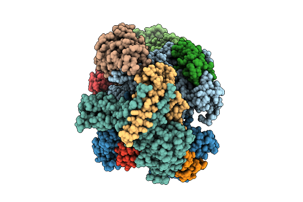 9K15 image