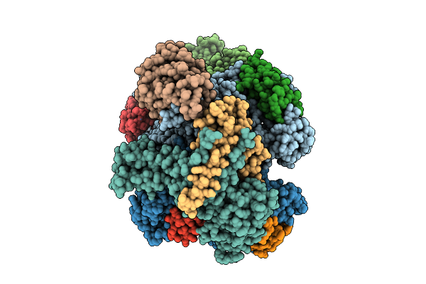 9K17 image