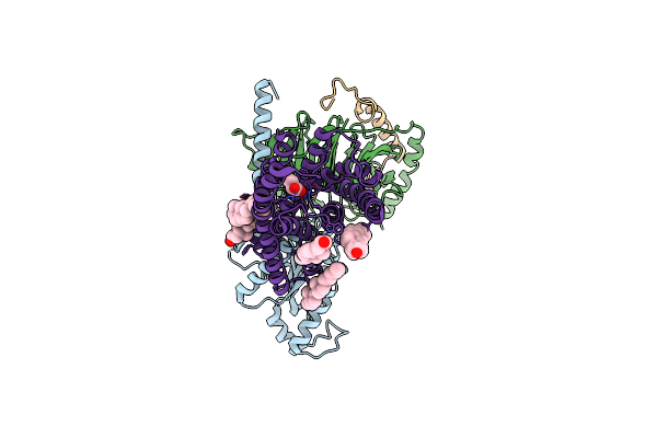 9K1D image