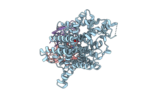 9K1F image