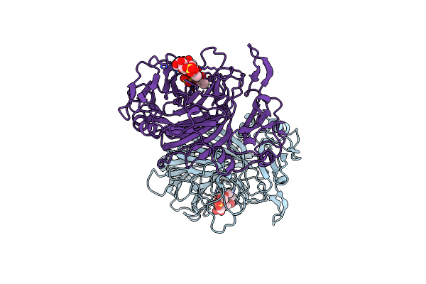 9K1G image