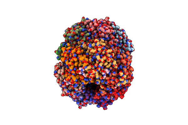 9K2C image