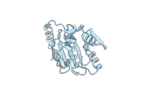 9K2L image