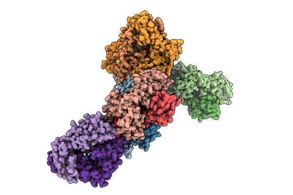 9K2R image