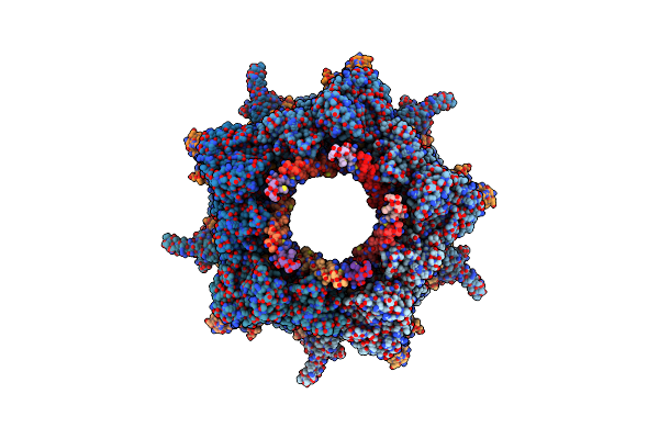 9K2V image