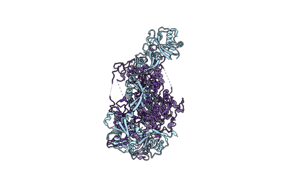 9K2W image