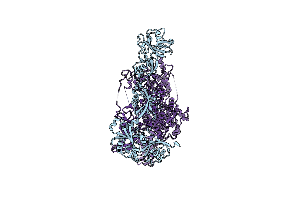 9K2X image