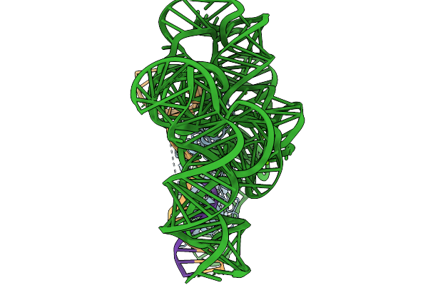9K2Z image