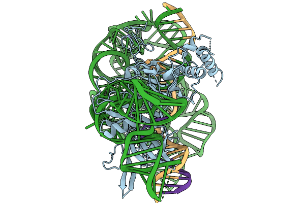 9K30 image
