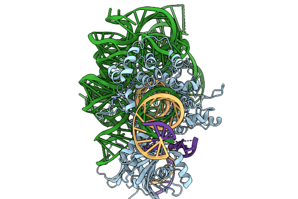 9K31 image