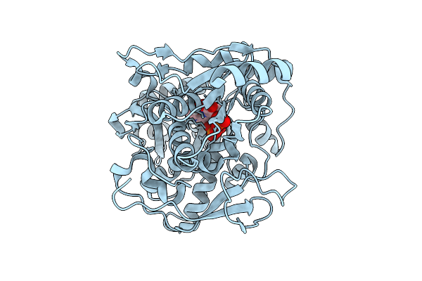 9K3O image