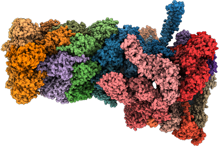9K4S image