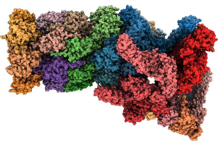 9K4V image