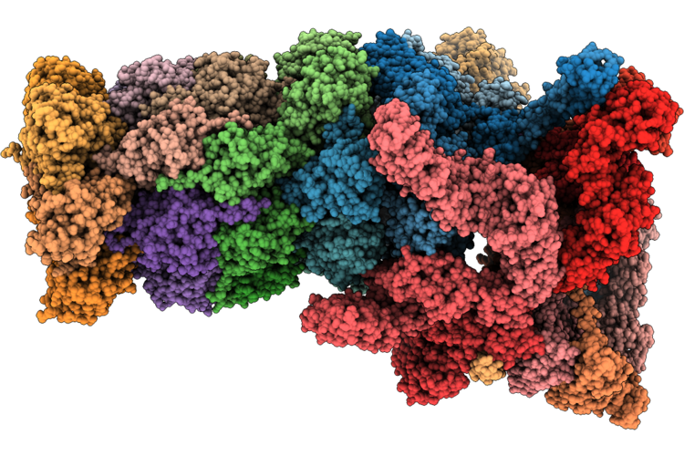 9K4W image
