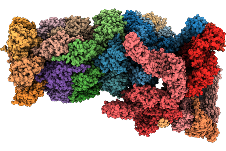 9K4X image
