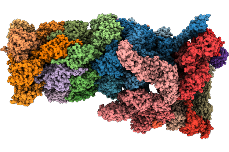 9K54 image
