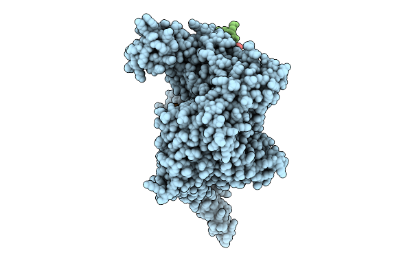 9K6H image