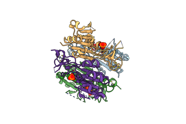 9K6K image