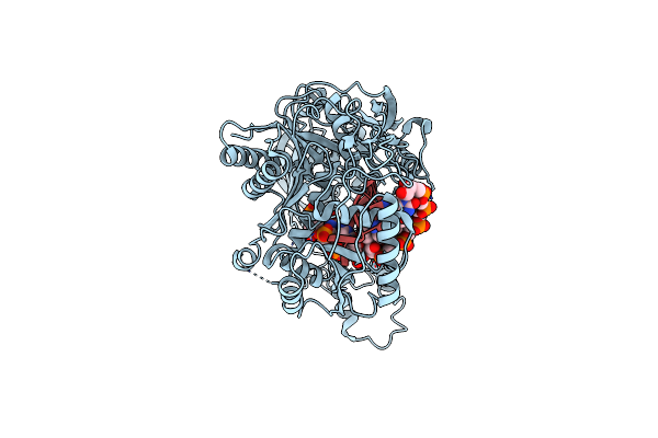 9K6P image