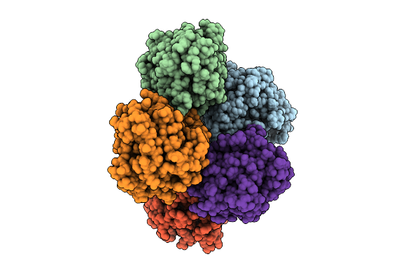 9K6V image