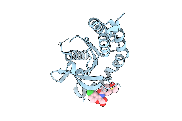 9K76 image