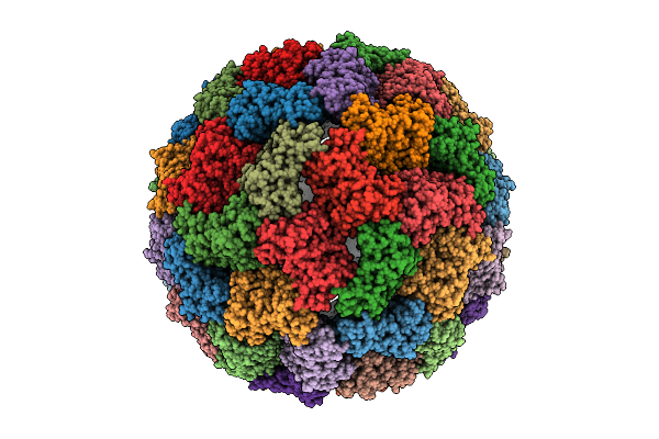 9K87 image