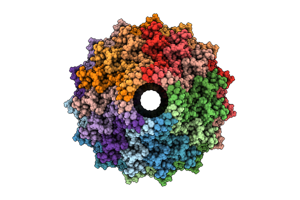 9K8V image