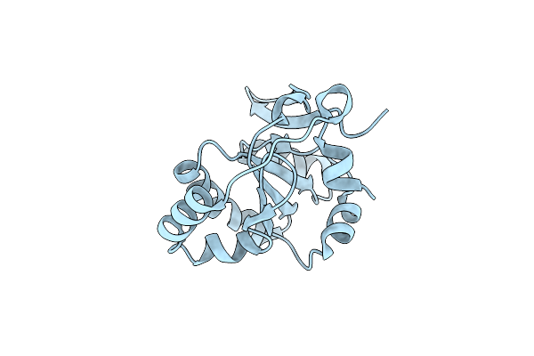 9K98 image