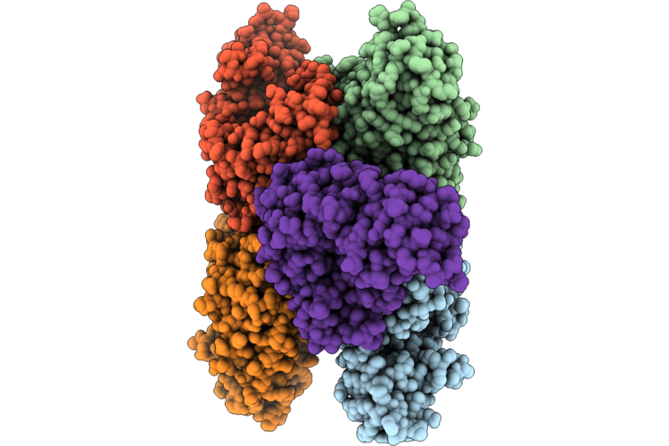 9K9B image