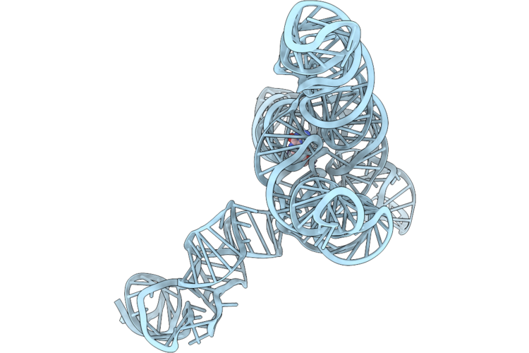 9K9H image