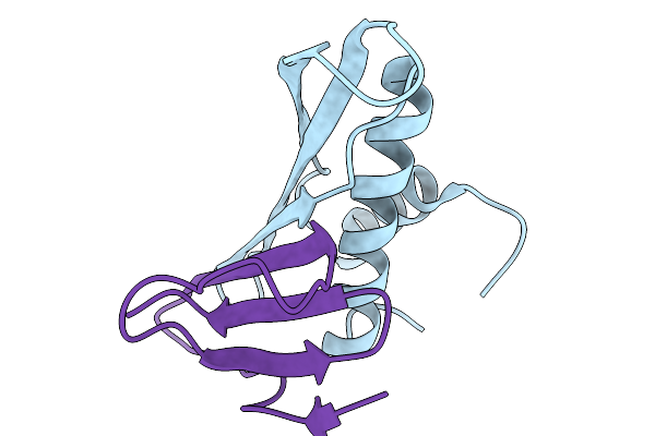 9K9P image