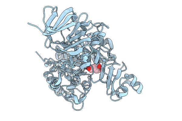 9KB4 image