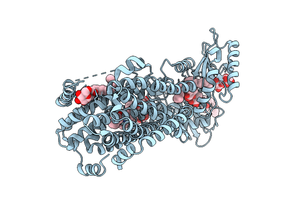 9KBE image